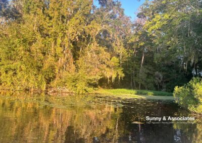 Lake Talquin Homes For Sale A Premier Destination for Florida Waterfront Property Buyers and Sellers in 2026