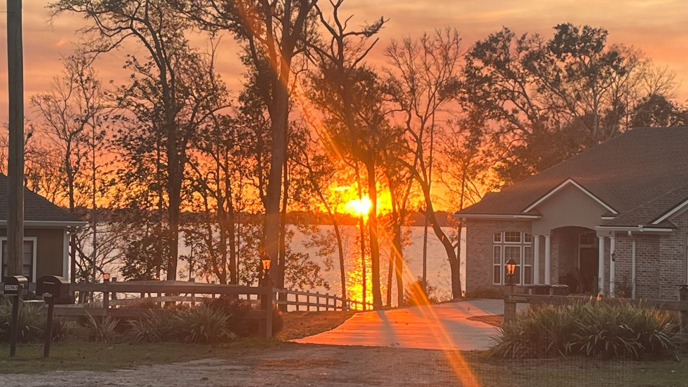 Lake Talquin Real Estate for Sale The 2026 Waterfront Buyers Guide